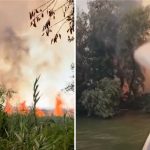 VIDEO Incendiu de amploare în Deltă. Focul amenință fondul forestier. Mesajul lui Raed Arafat