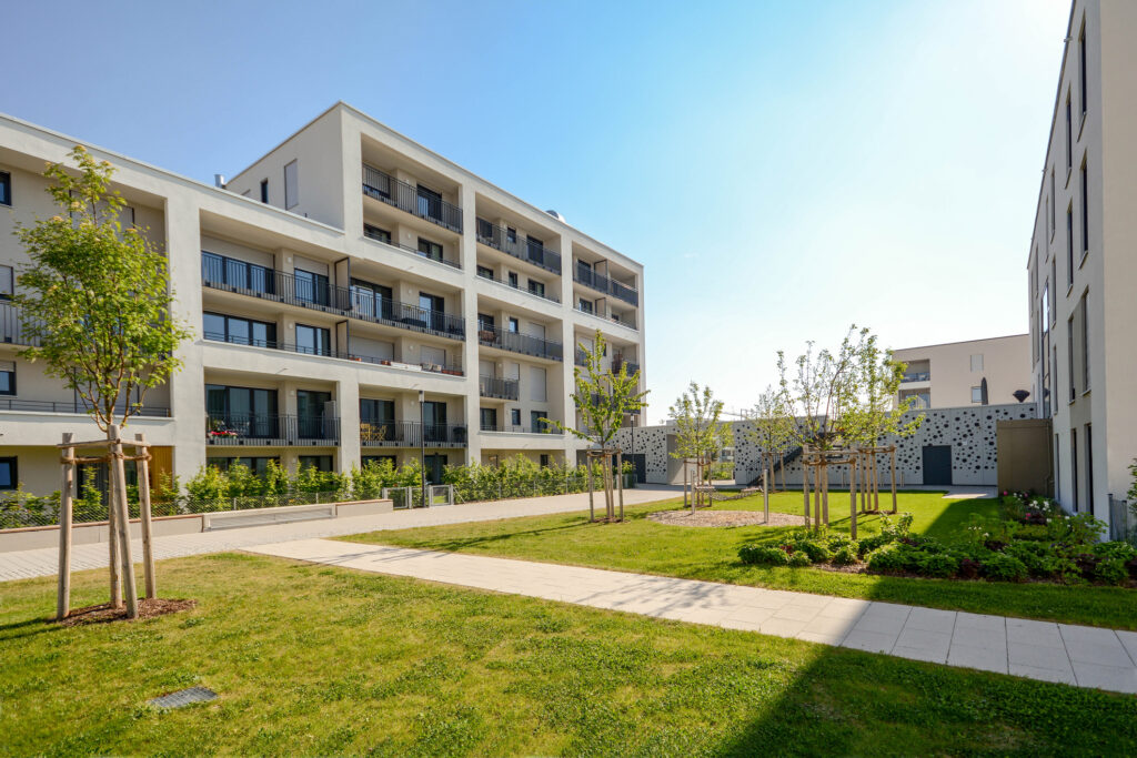 Codul Urbanismului | Nouă taxă pentru dezvoltatorii imobiliari. Banii vor finanța infrastructura noilor cartiere: de la drumuri și utilități la școli și spații verzi