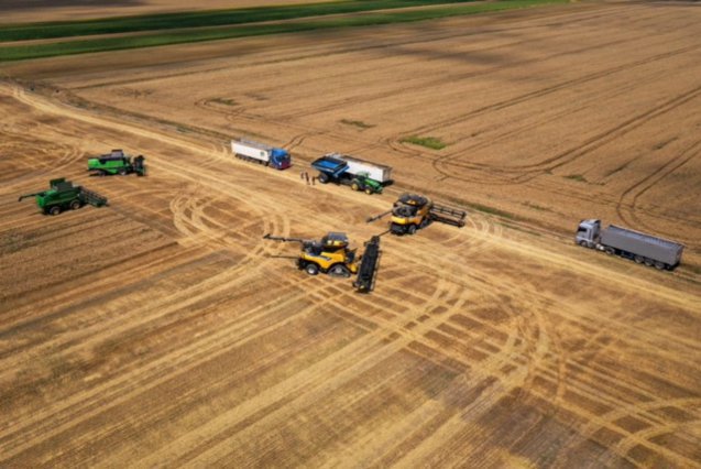 Fermierii europeni se confruntă cu o „criză fără precedent“ în urma valurilor succesive de căldură extremă