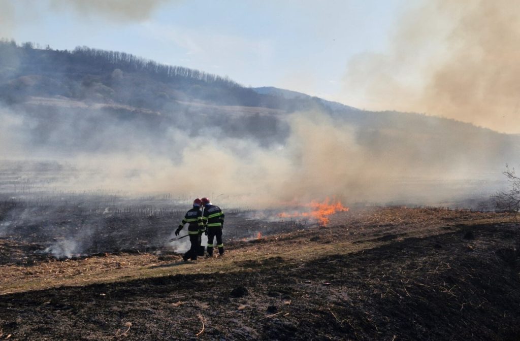 Incendiu subteran în Parcul Natural Lunca Mureşului / Autorităţile analizează inundarea artificială a zonei