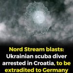 Un ucrainean, Vladimir Z, un scafandru, arestat în Croaţia, acuzat de implicare în sabotarea gazoductului Nord Stream