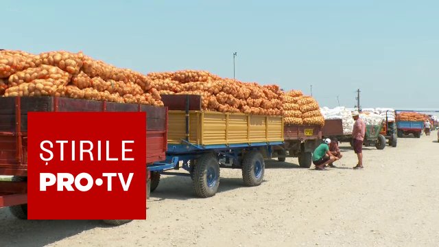 Ajutor de până la 300 euro/ha pentru fermieri, aprobat de Guvern. Cererile trebuie depuse în doar cinci zile lucrătoare