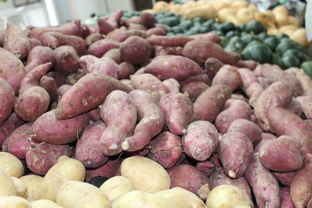 Guvernul va oferi până la 300 euro/ha pentru susținerea producției de cartofi