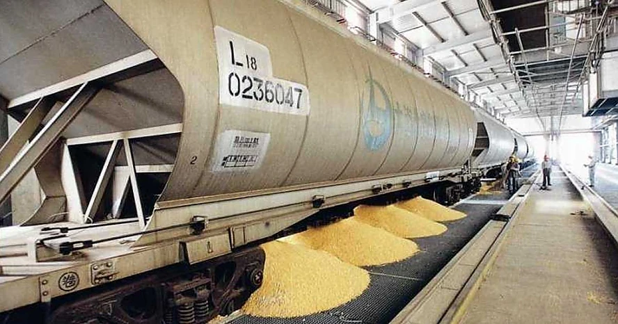 Slava! Cerealele ucrainene, ”culoar preferențial” spre Constanța: Fermierii români acuză că sunt lăsați fără trenuri pentru exportul mărfii