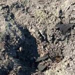 Mai multe drone au intrat în spaţiul aerian al Republicii Moldova în urma atacului masiv al Rusiei asupra Ucrainei. Una dintre ele a explodat în zona Giurgiuleşti. O alta a explodat în partea ucraineană a frontierei, dar a generat un incendiu în Moldova