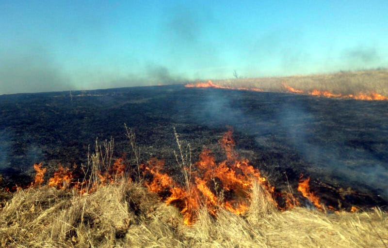 Incendiu de vegetație uscată la Războieni-Cetate. Intervin pompierii militari din Aiud și SVSU Unirea