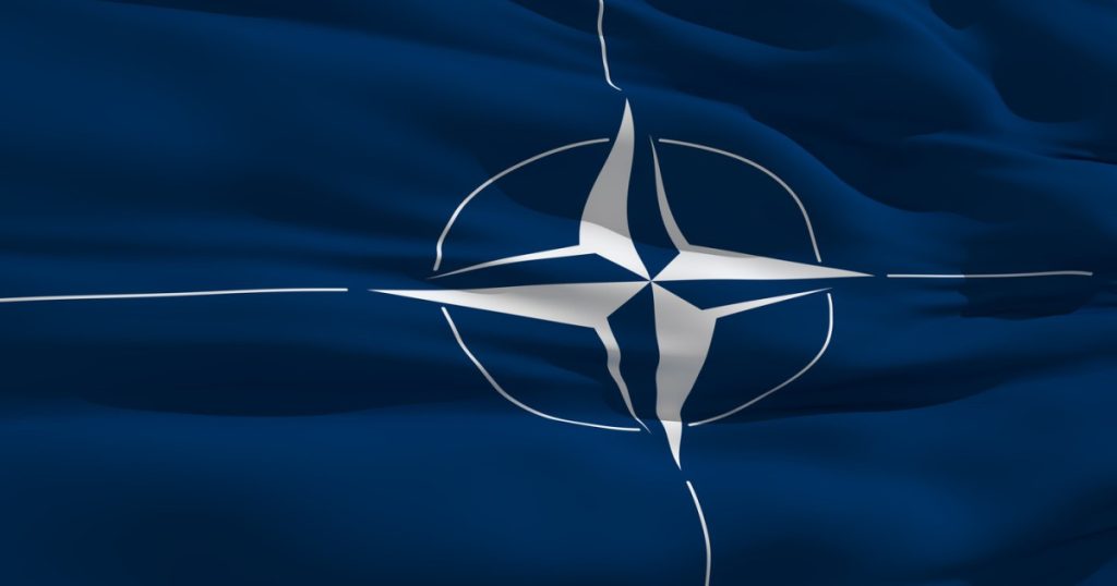 Comitetul militar al NATO, vizită în Ucraina, în octombrie, anunță Mihailo Drapatîi