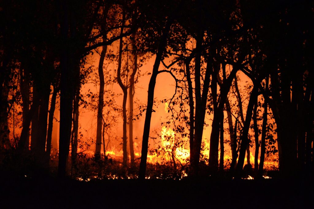 Europa arde, iar ce e mai rău abia urmează: suprafața afectată de incendii s-ar putea tripla