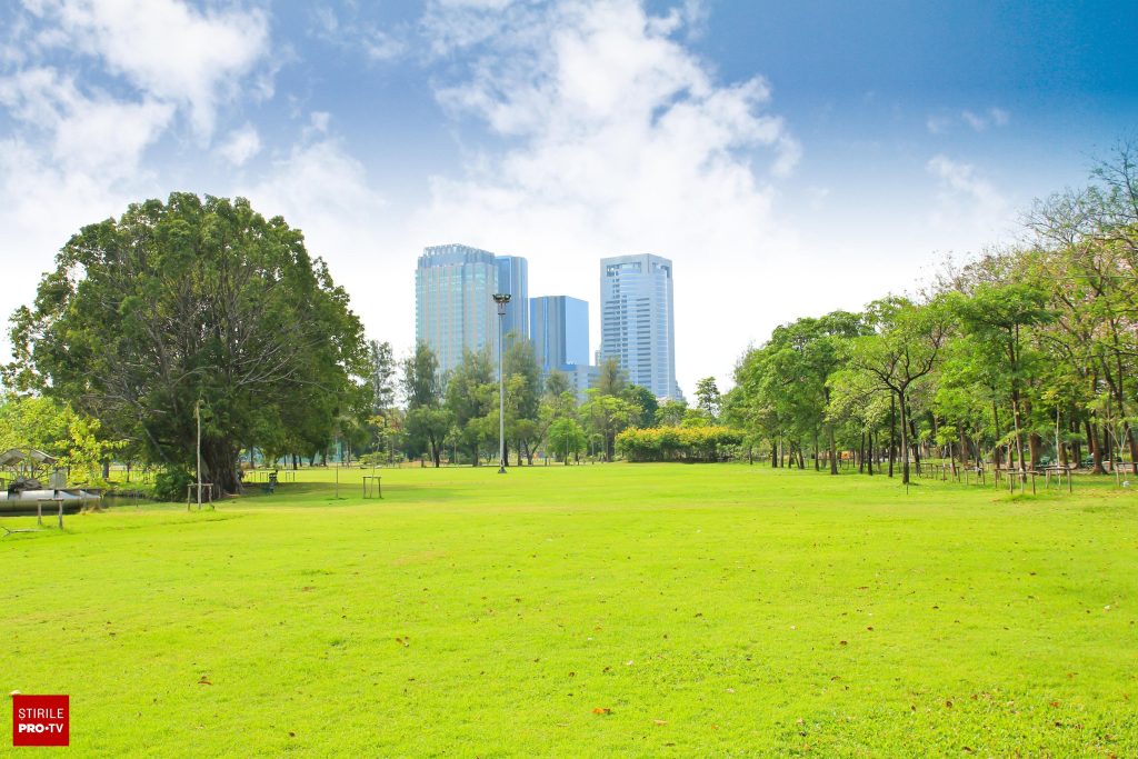 Acoperișurile verzi și parcările sustenabile devin obligatorii din 2027. Codul Urbanismului: 50% suprafață verde