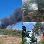 Nu aprindeți pericolul! Preveniți incendiile de vegetație! - Zeci de hectare din Bihor afectate de flăcări