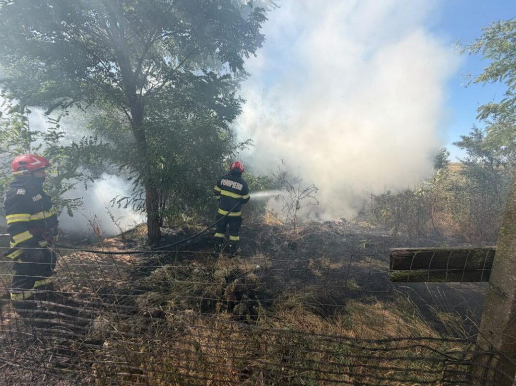 15 incendii de vegetație în două zile: 40 de hectare, afectate în Bihor