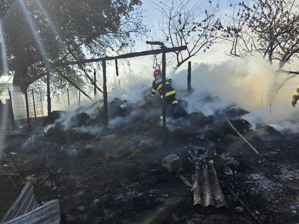 Opt capre au murit într-un incendiu izbucnit într-o gospodărie din Sulița. Focul a fost lăsat nesupravegheat – FOTO
