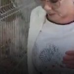 ULTIMA ORĂ Cristina Trăilă, secretar general adjunct al Guvernului, audiată la DNA