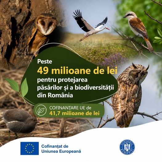 Peste 49 milioane de lei pentru protejarea păsărilor și a biodiversității din România