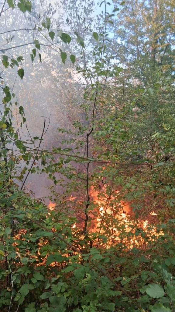 Aproape 100 de hectare, mistuite de incendii într-o săptămână