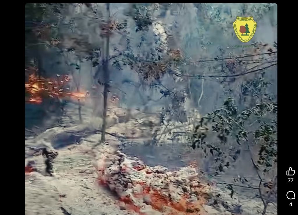 Romsilva anunță un incendiu puternic în pădurea din apropierea localităţii Plauru / După mărturia localnicilor, cauza ar fi explozia unei drone