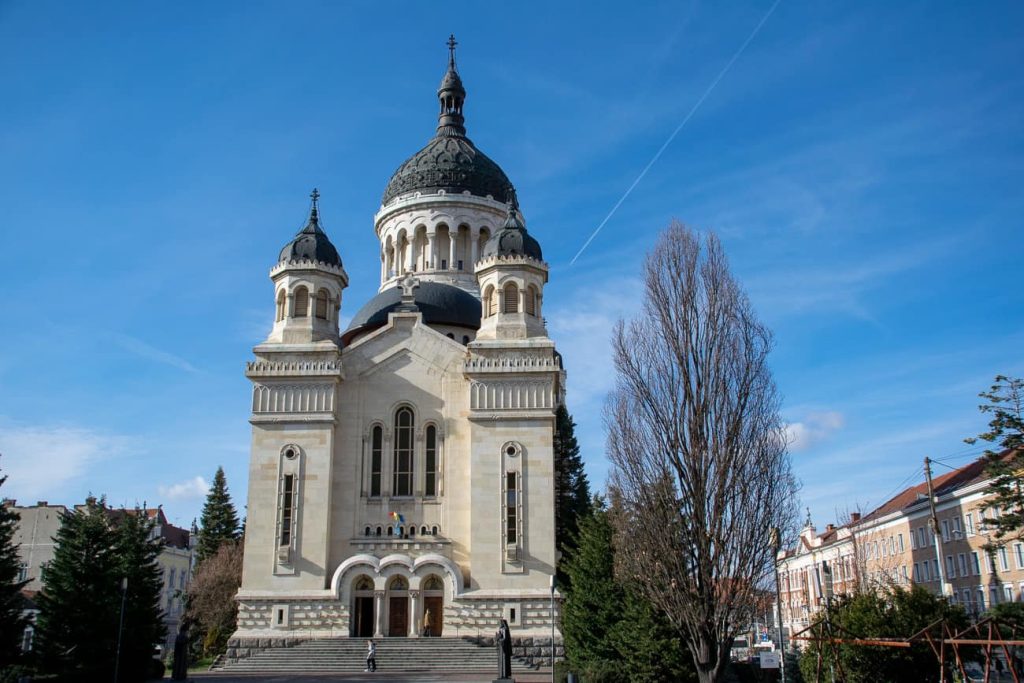 Petiție pentru salvarea copacilor din Piața Avram Iancu. Clujenii cer protejarea spațiilor verzi din jurul Catedralei Ortodoxe
