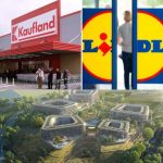 Proprietarul Lidl și Kaufland anunță o investiție de amploare. Centru de date de aproape 6 miliarde euro în Germania