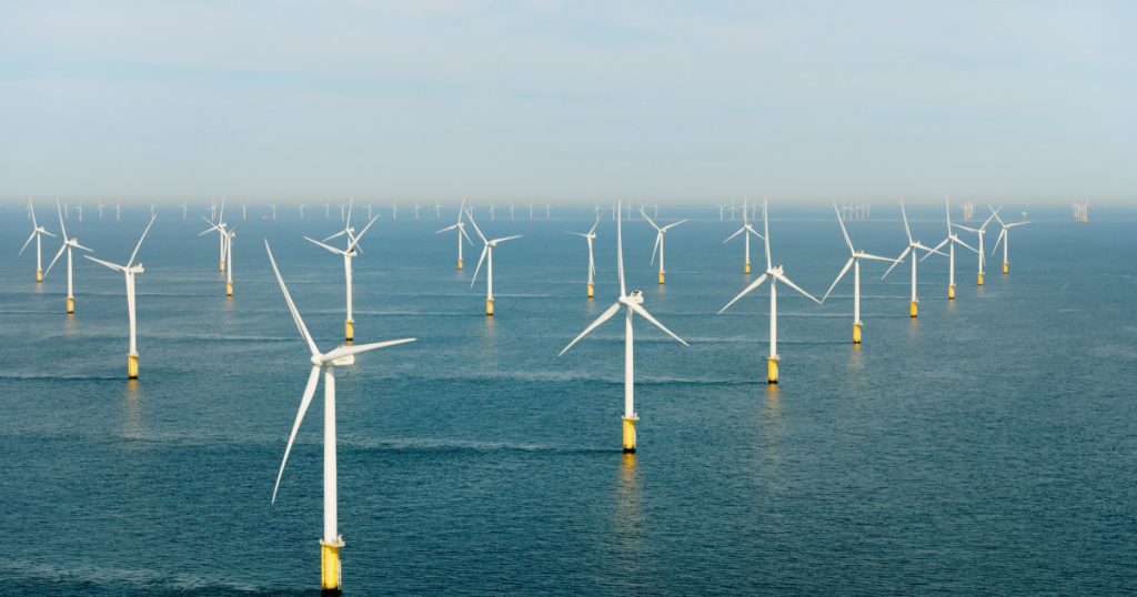 Guvernul a stabilit zonele din Marea Neagră care vor putea găzdui viitoarele parcuri eoliene. La cât se ridică impactul economic