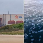 INEDIT Meduzele au oprit alt reactor al celei mai mari centrale nucleare din Franța