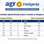 Situația din Marea Neagră contribuie la creșterea prețurilor porumbului și grâului, ajunse la maximele ultimilor trei ani - România, într-o situație favorabilă