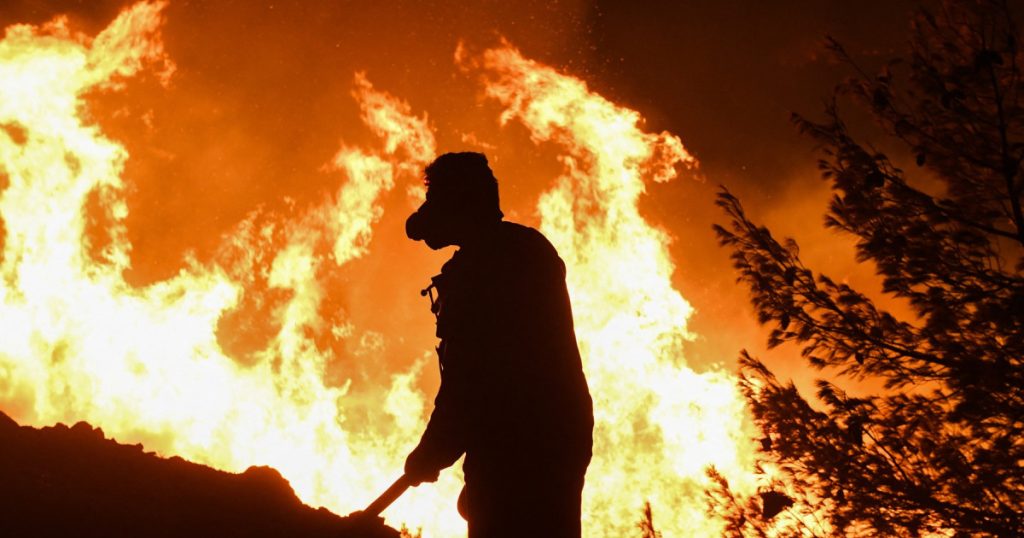 „Reintroducem pedeapsa cu moartea pentru piromani”. Țara care ar putea să-i execute pe cei care incendiază intenționat pădurile