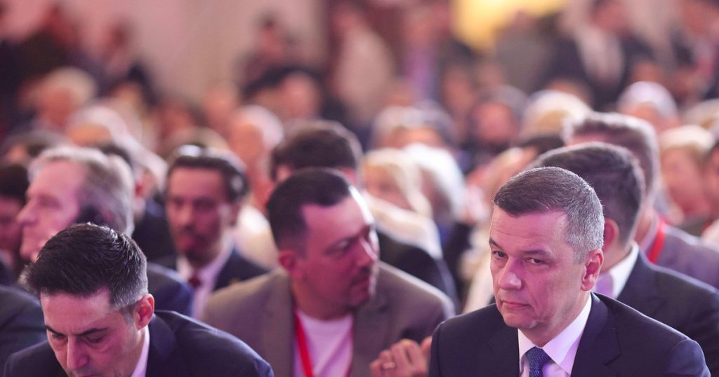PSD acuză USR după condamnarea lui Clotilde: „S-a transformat, fără rușine, în partidul penalilor și condamnaților în funcții publice”