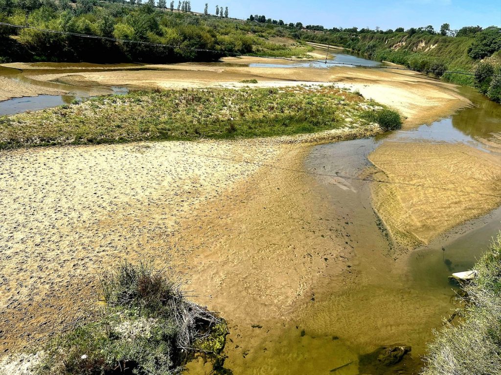 Toţi afluenţii Mureşului au secat, iar râul este la o treime din debitul normal / Pagube însemnate în agricultură: 79.359 de hectare de culturi sunt afectate între 30 şi 70%