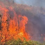 În ultimele trei zile de vară - Zeci de hectare mistuite de flăcări