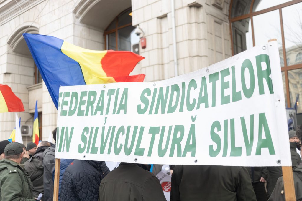 Sindicatele din silvicultură contestă reorganizarea Romsilva. Federația SILVA a sesizat CSAT