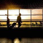 Reuters: SUA ar putea solicita părinţilor să dovedească cetăţenia sau statutul de imigrant pentru a obţine paşapoarte pentru copiii lor