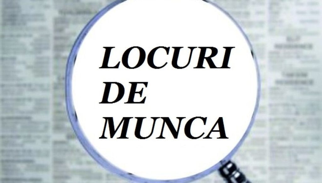 Peste 30.000 de locuri de muncă disponibile în România. Se caută mii de șoferi, curieri și muncitori