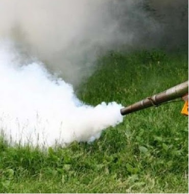 Campanie extinsă de dezinsecție la Turda: Spațiile verzi și arborii din oraș, tratați împotriva dăunătorilor