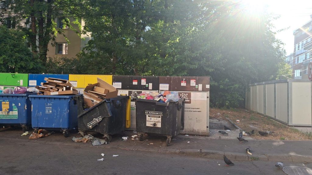 Adrian Nap: insulele ecologice pornesc în Oprișani