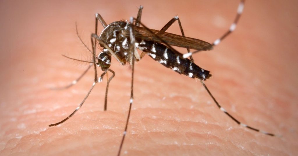 INSP: 58 de persoane s-au infectat cu virusul West Nile în acest sezon. Bilanțul deceselor ajunge la 3