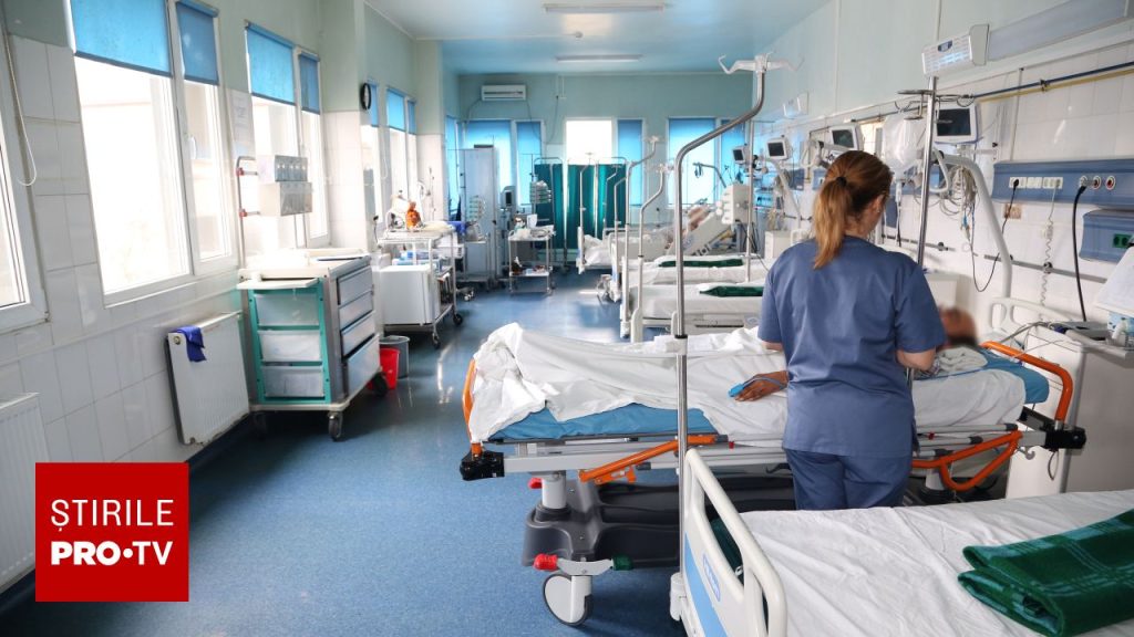Un rinichi de porc transplantat a funcționat 271 de zile în corpul unui bărbat din SUA, stabilind un nou record medical