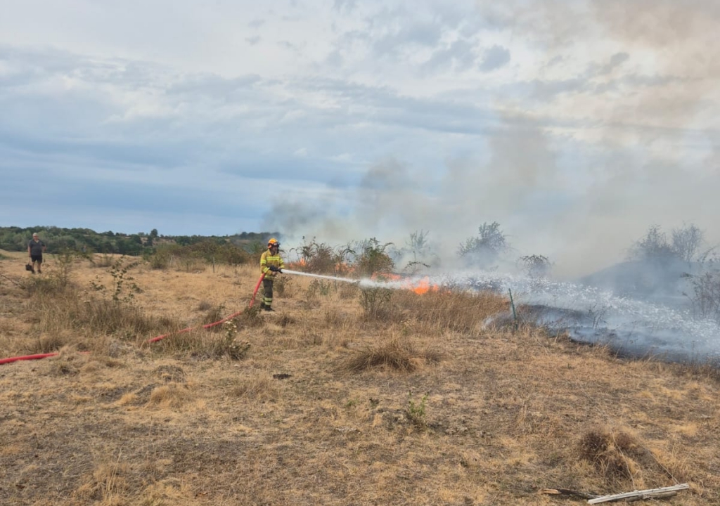 Incendiu de amploare: 25 de hectare, cuprinse de flăcări!