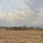 UPDATE - Incendii puternice de pădure în judeţele Bihor şi Vâlcea/ Intervenţiile pompierilor, îngreunate de vânt/ Sâmbătă, este caniculă în aproape toată ţara În Banat şi Oltenia, temperaturi de până la 36 de grade/ Incendiul din Bihor, lichidat - FOTO