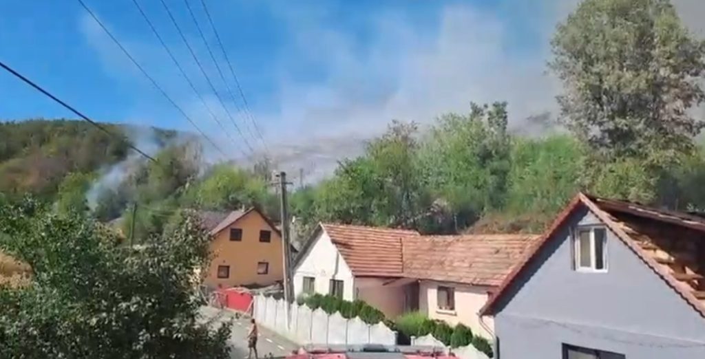 🔥 Incendiu de vegetație uscată în localitatea Bârzava, în apropierea unor case