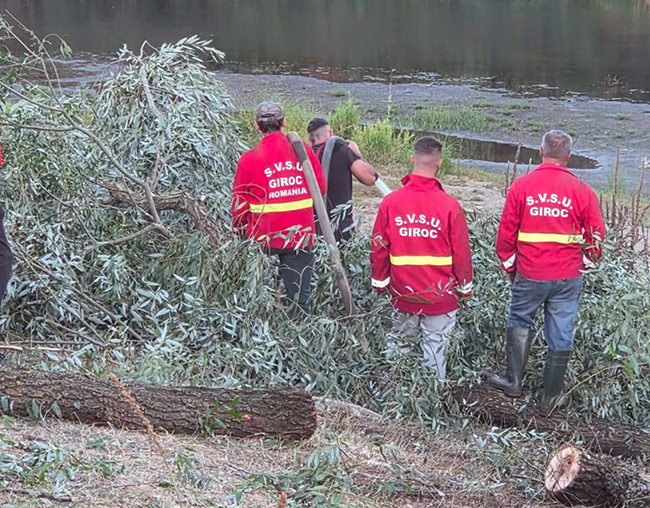 Incendiu pe malul Timișului, la Giroc. Pompierii au intervenit pentru a opri extinderea flăcărilor