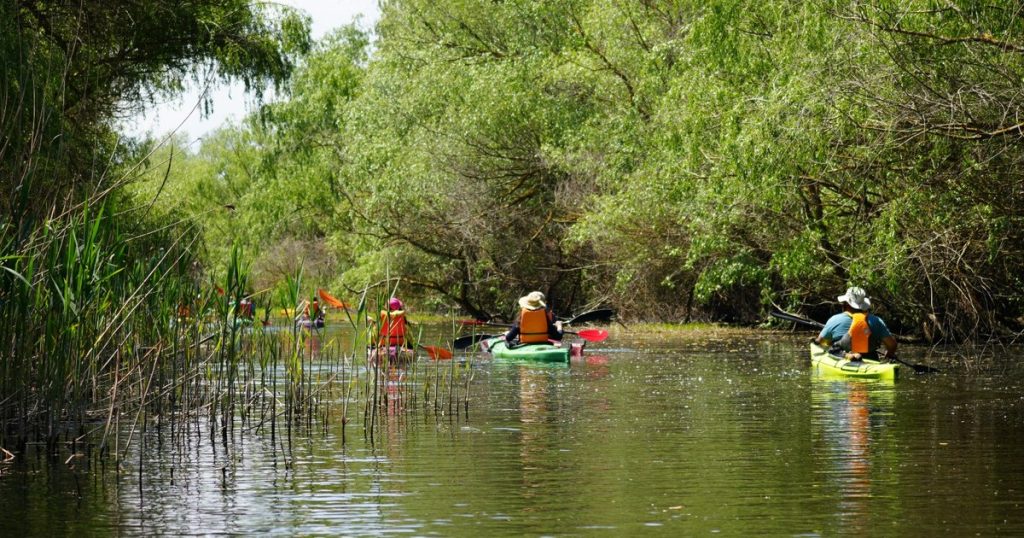 Turistul român revine în vacanțele din țară. Cum s-a schimbat profilul său și ce arată cifrele din iulie