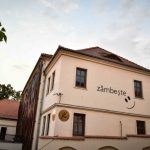 Teatrul „Gong” Sibiu deschide stagiunea cu premiera „Baronul din copaci”, dramatizare după Italo Calvino