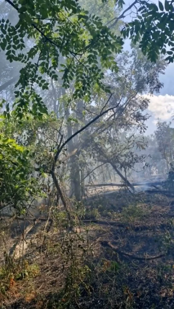 Incendiu între Roșia și Cornățel