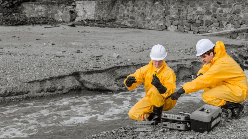 În 1987, cercetătorii au turnat cadmiu radioactiv într-un lac din Ontario. În șase ani, au descoperit unde a ajuns peste 90% din metal