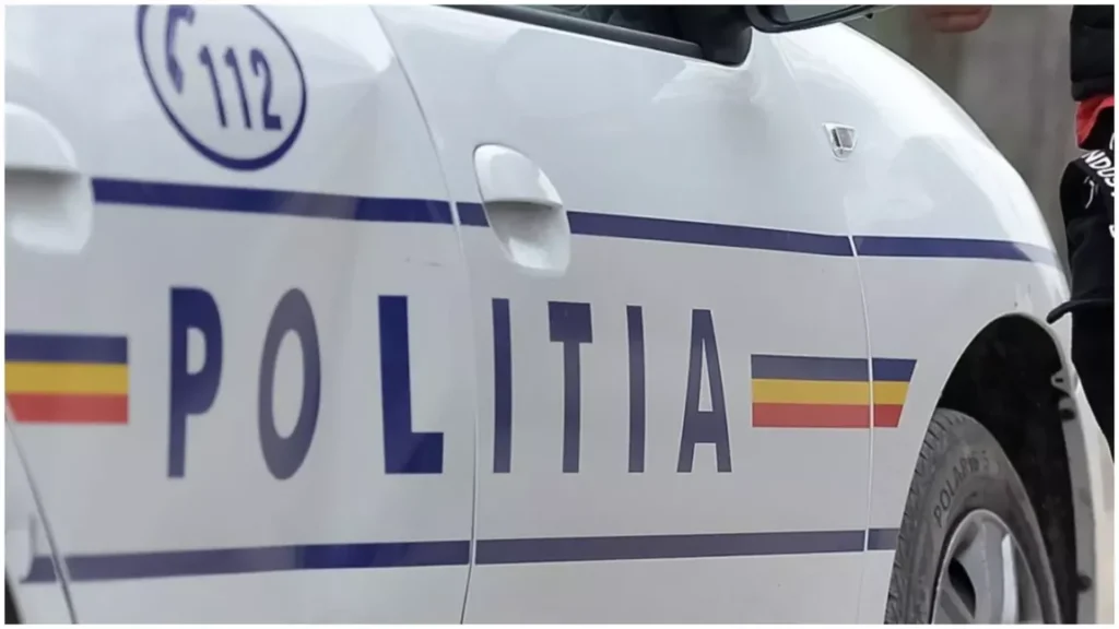 Material lemnos confiscat de polițiști pe DN 28A, la Moțca