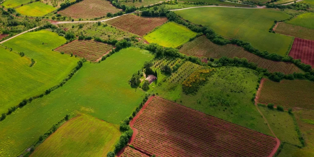 Terenurile agricole mari s-au ieftinit puternic: Prețul mediu al hectarului a scăzut de 2,4 ori într-un an