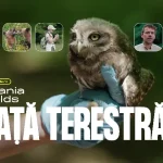 Al şaptelea episod din seria „Romania Unfolds”, primul mini-serial documentar despre sustenabilitate, lansat/ Pajişti, ecoducte şi infrastructură critică: trei modele prin care România îşi protejează biodiversitatea/ VIDEO