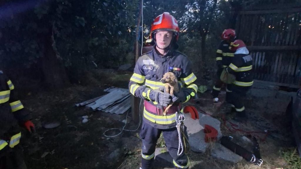 Intervenție contra cronometru în Bihor: Pompierii au coborât în fântână pentru a salva un cățeluș  ISU Bihor