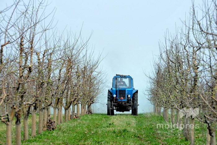 Ministerul Agriculturii anunță finanțări de două milioane de lei pentru modernizarea afacerilor prin programele IFAD
