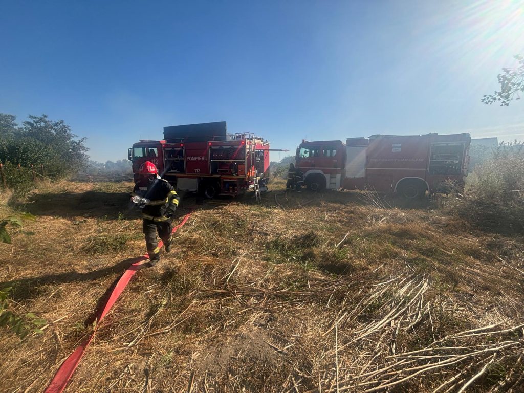 Incendiu violent de vegetație uscată în județul Dolj. Focul s-a extins la o casă și o anexă